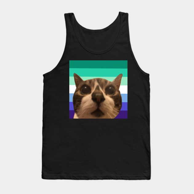 arch says gay rights 2 Tank Top by casserolestan